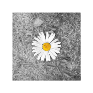 奷漂亮少妇高潮A片欧美剃刀边缘
